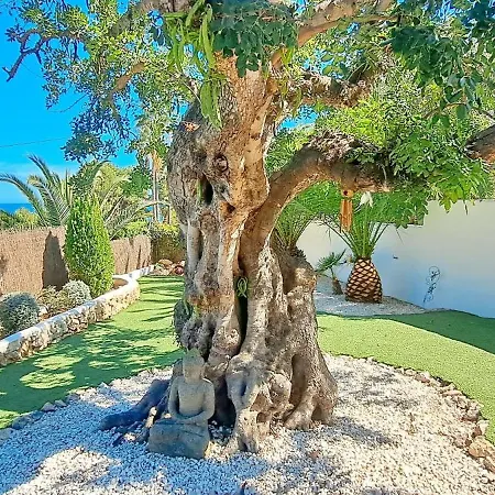 Villa La Seldeta By Solidays